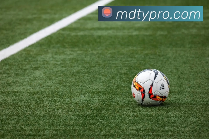 App Interface Preview